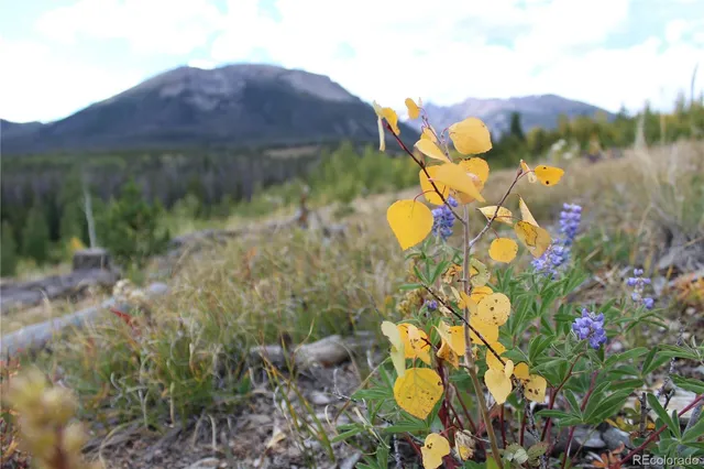 $53,500 | 9800 Ryan Gulch Road, Unit 302, Silverthorne, CO 80498
