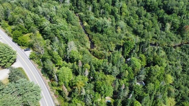 586 Lower Dedham Road Dedham, ME 04429 - Photo 16 of 17 16