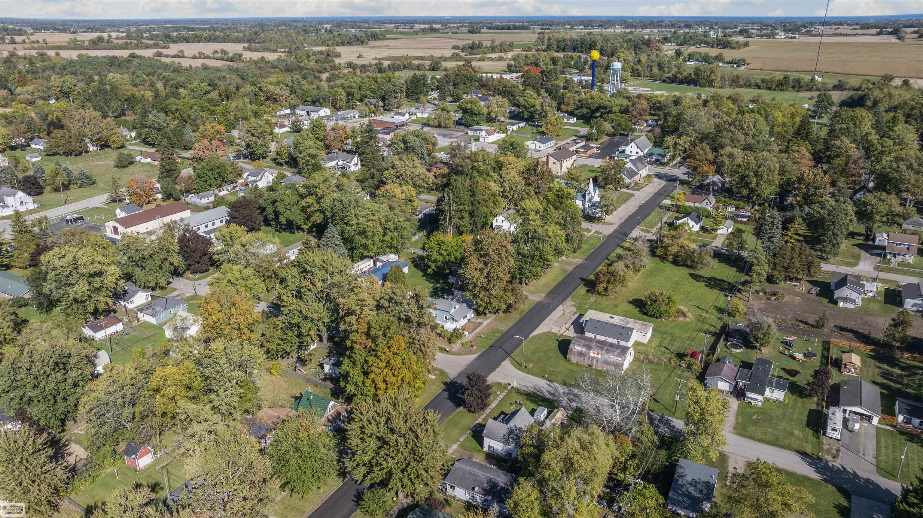 3905 Sheldon Street Carsonville, MI 48419 - Photo 42 of 54
