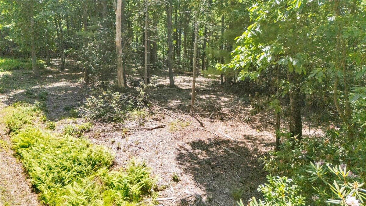 Tbd Dogwood Ridge Fancy Gap, VA 24328 - Photo 7 of 24 01-DJI_20260702131006_0001_D