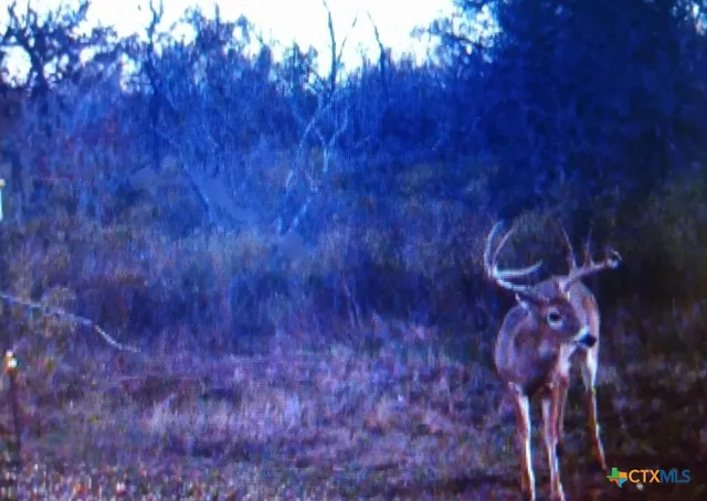 a view of a golf course with a garden