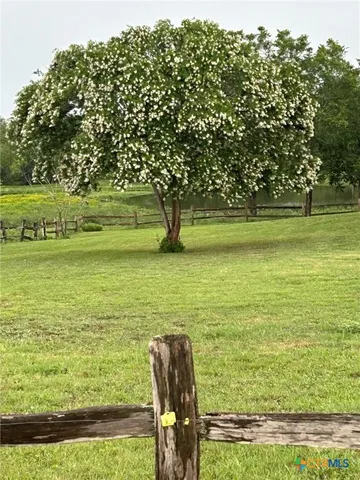 a view of a garden with an trees