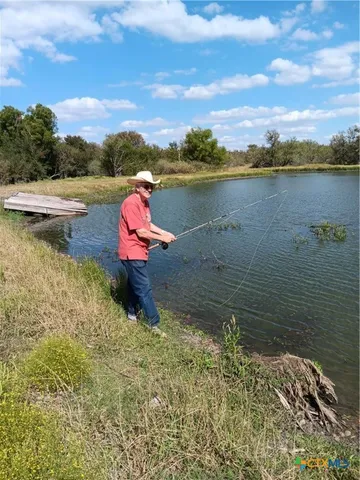 a view of yard with grass and trees