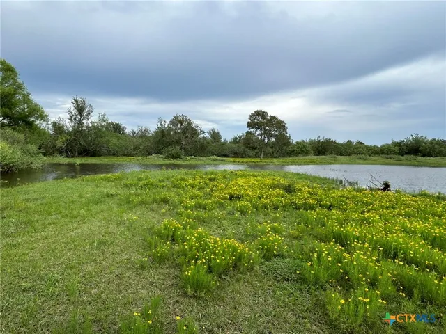 a view of outdoor space with garden and trees