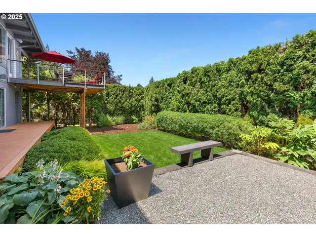 a view of a garden with a bench in a garden