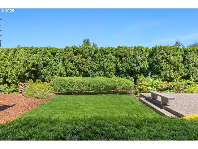 a view of a yard with an tree