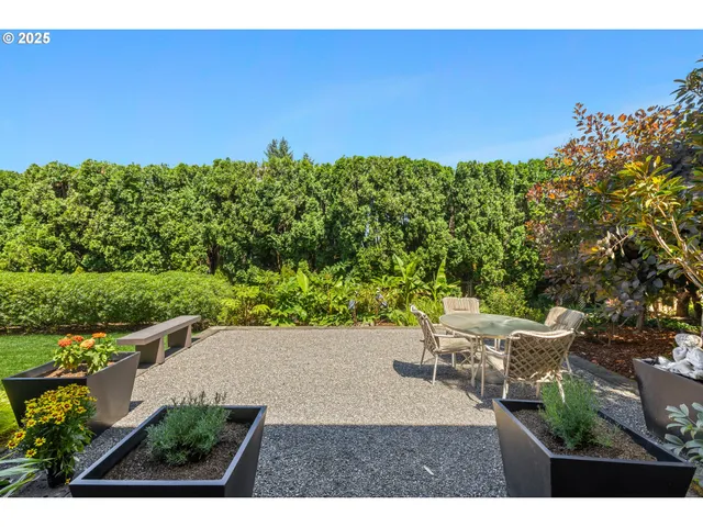 a view of a backyard