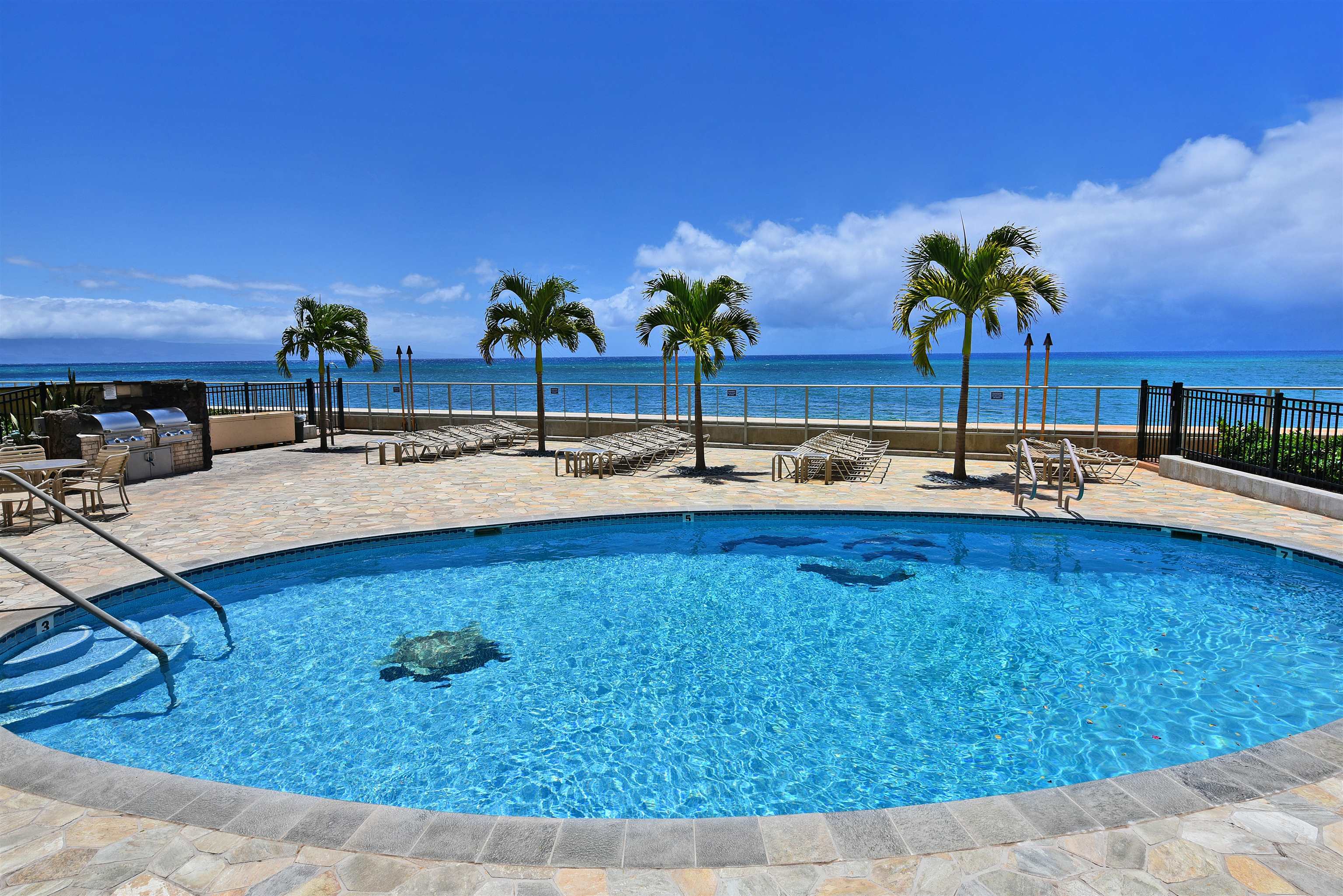 4401 Lower Honoapiilani Road, Unit B801 Lahaina, HI 96761 - Photo 28 of 32