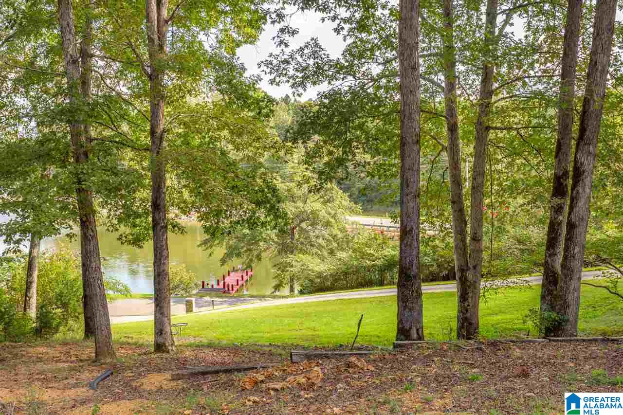 59 Mohawk Trail Ohatchee, AL 36271 - Photo 29 of 47