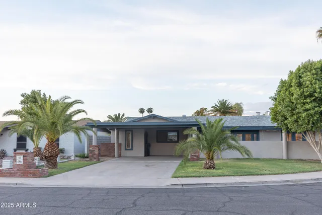 a palm tree sitting in front of a house