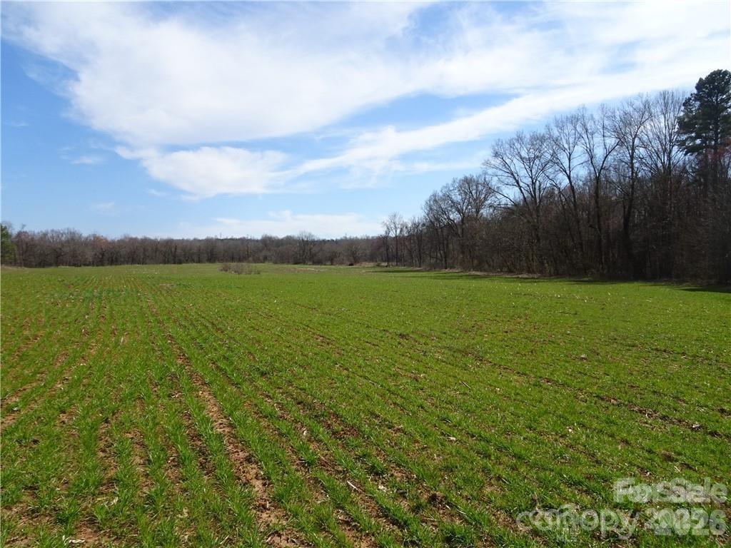 516 Cornflower Road Statesville, NC 28677 - Photo 1 of 3 a view of a field with an ocean