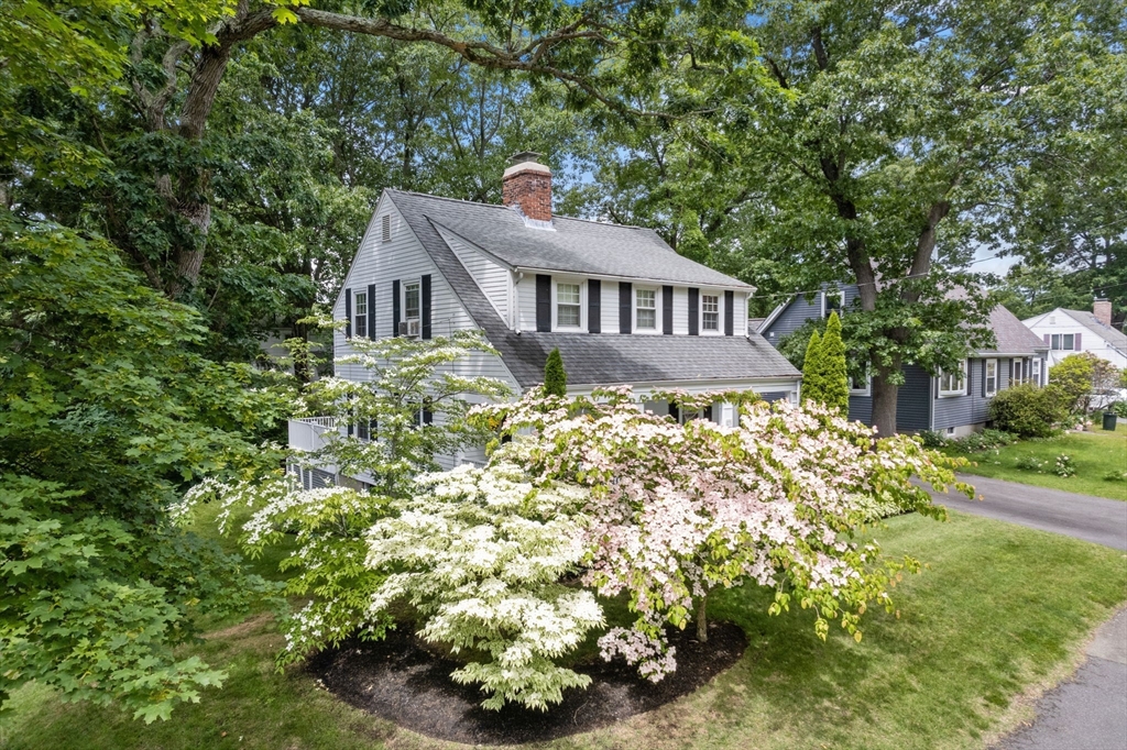 23 Hemlock Road Newton, MA 02464 - Photo 32 of 42 a house with lots of trees