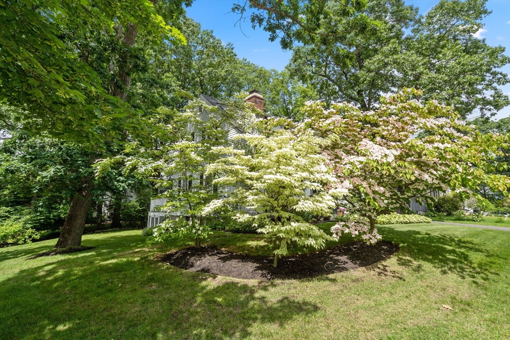 23 Hemlock Road Newton, MA 02464 - Photo 36 of 42 a view of outdoor space and yard
