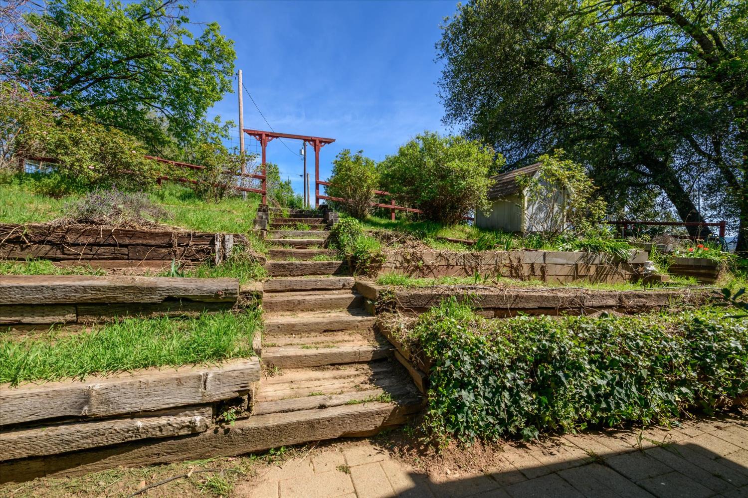 4910 Chisholm Trail Placerville, CA 95667 - Photo 22 of 41 a view of a yard with plants and large trees