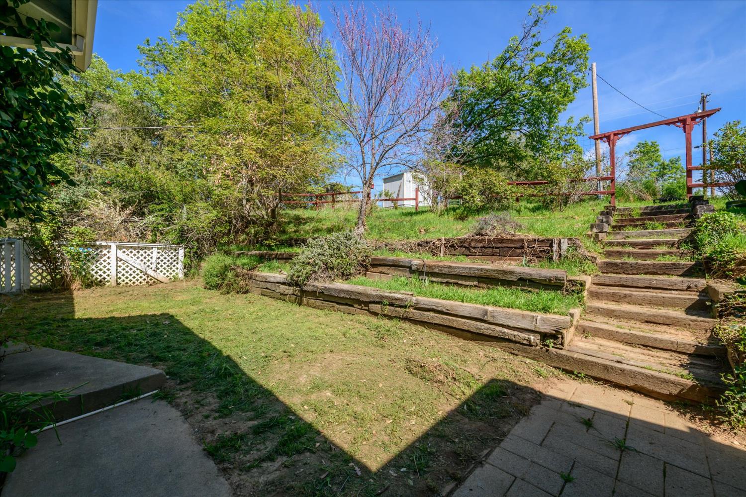 4910 Chisholm Trail Placerville, CA 95667 - Photo 23 of 41 a view of a yard with plants and large trees