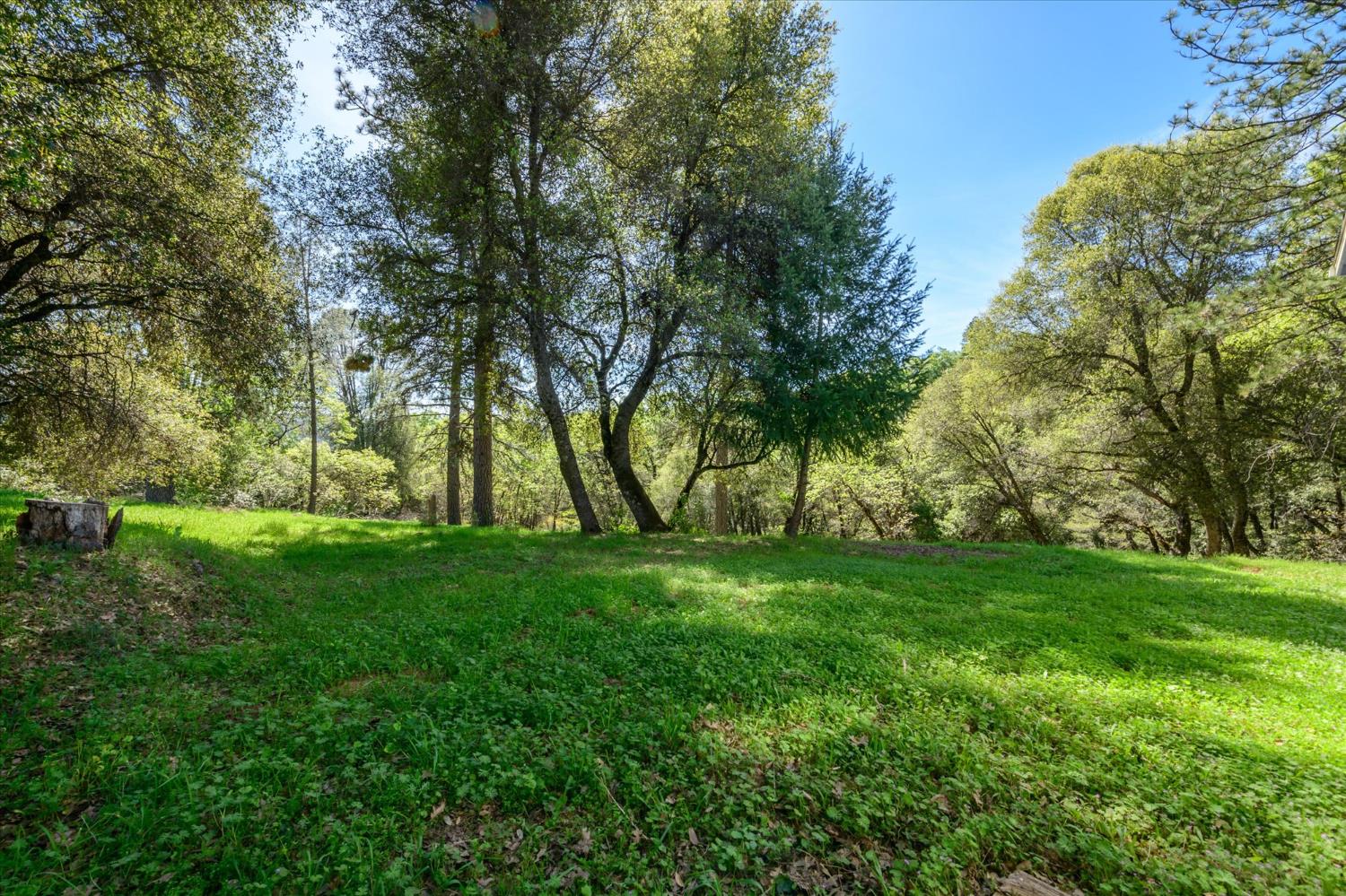 4910 Chisholm Trail Placerville, CA 95667 - Photo 26 of 41 a view of backyard with large trees