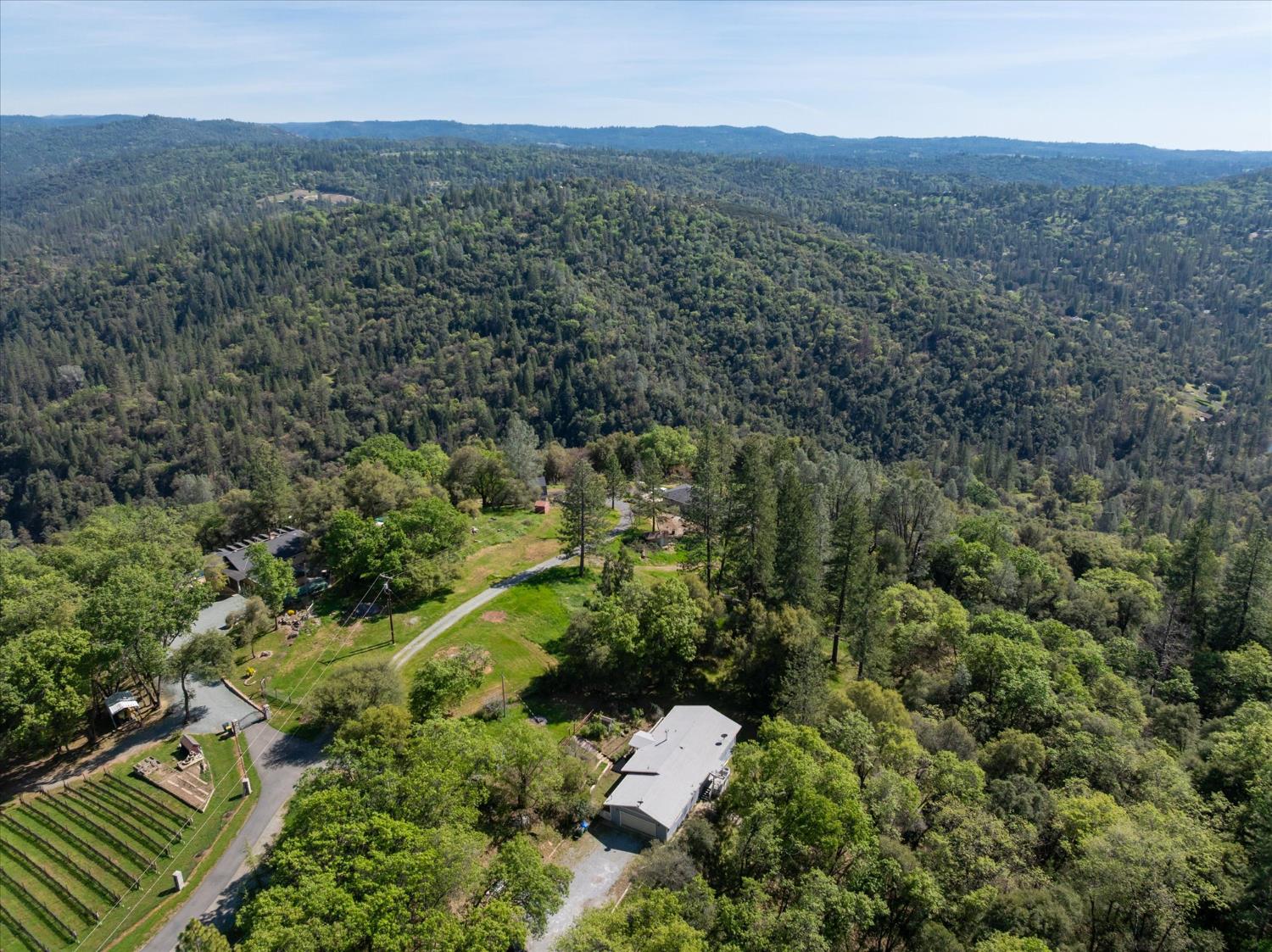 4910 Chisholm Trail Placerville, CA 95667 - Photo 33 of 41 a view of a forest with mountains in the background