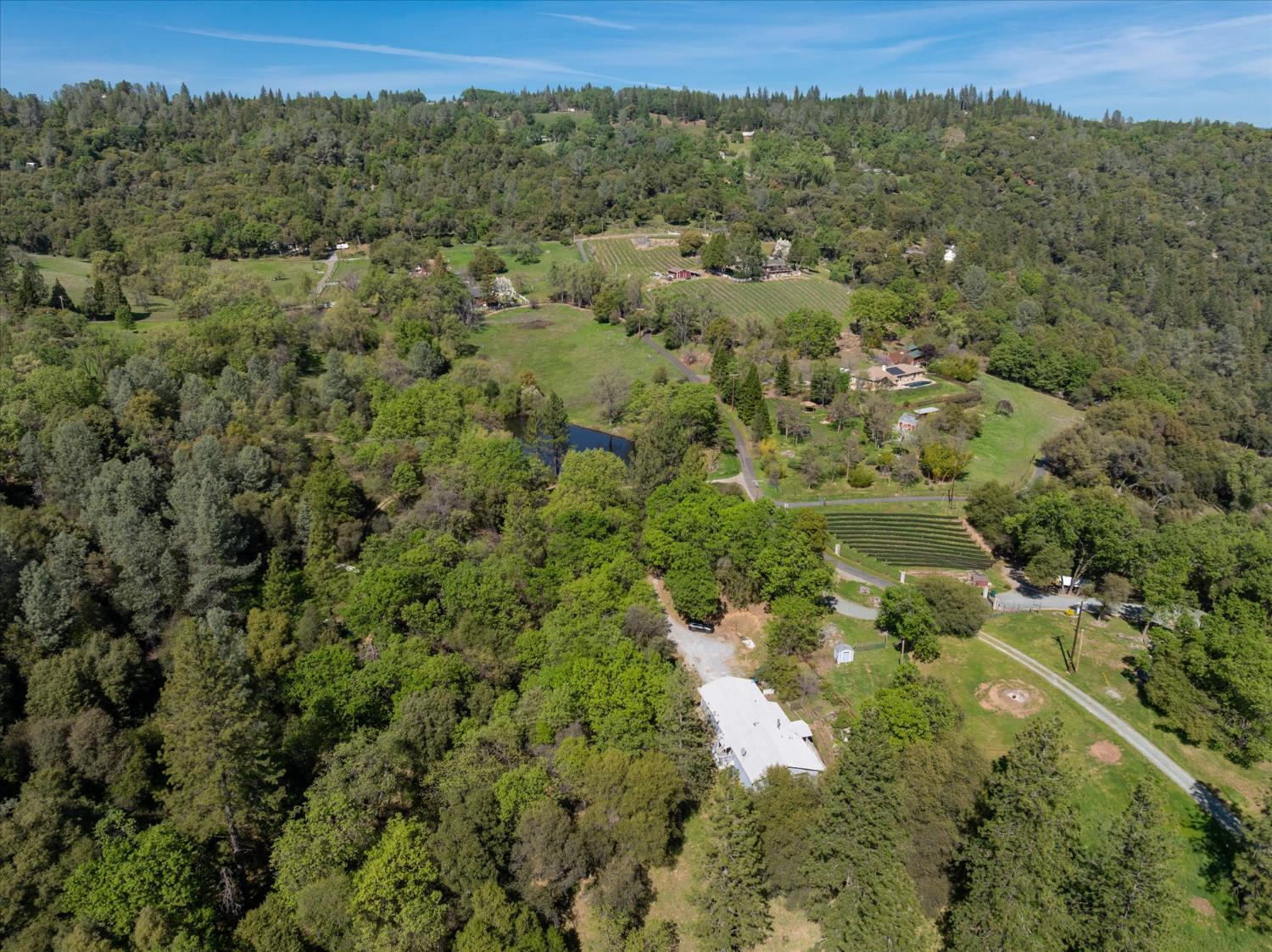 4910 Chisholm Trail Placerville, CA 95667 - Photo 34 of 41 an aerial view of a houses with a lush green hillside