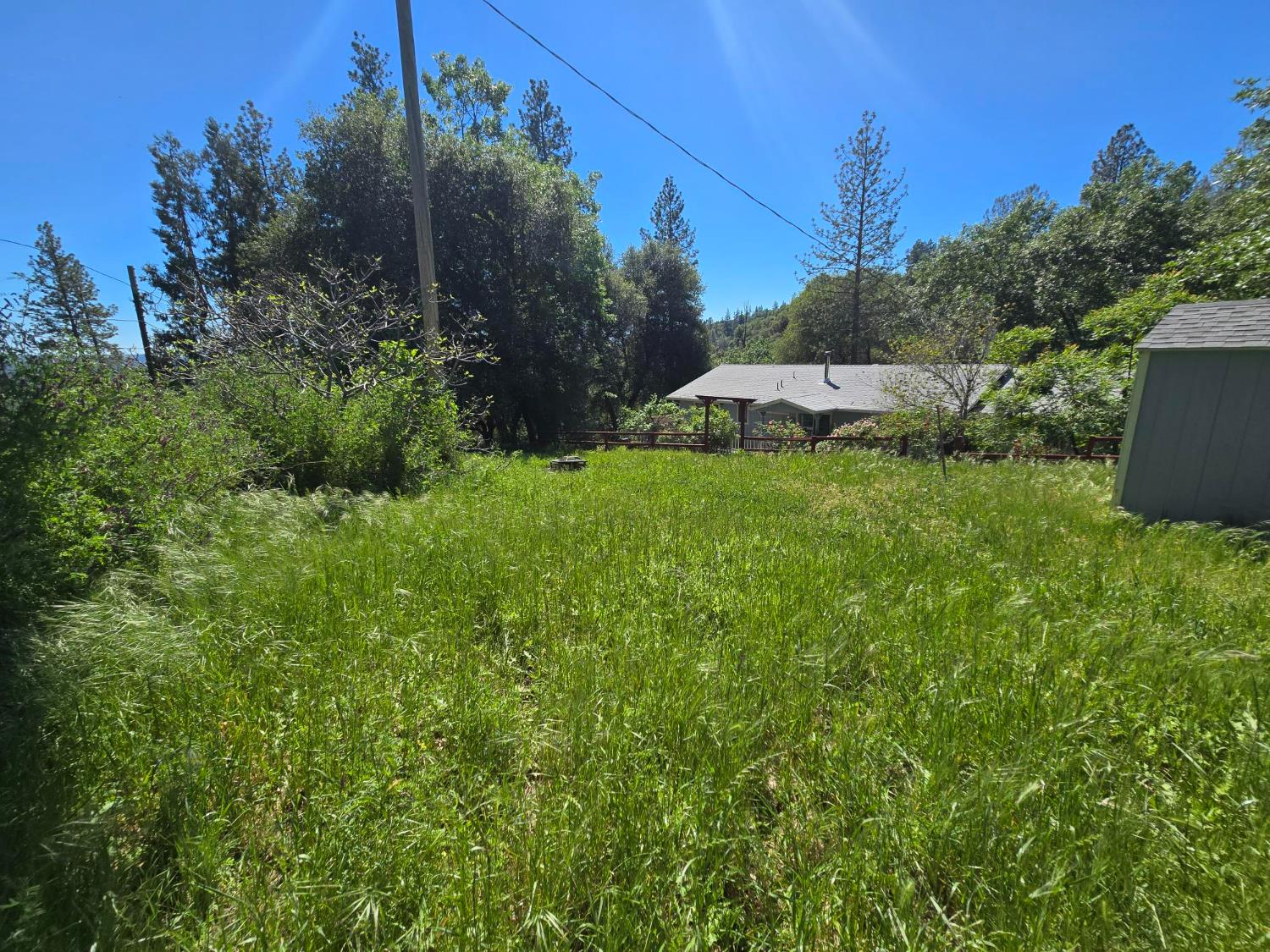 4910 Chisholm Trail Placerville, CA 95667 - Photo 41 of 41 a view of a garden with an outdoor space
