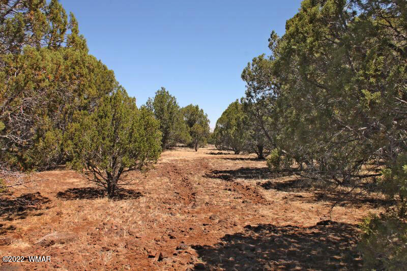 Tbd Lakeland Road Show Low, AZ 85901 - Photo 1 of 14