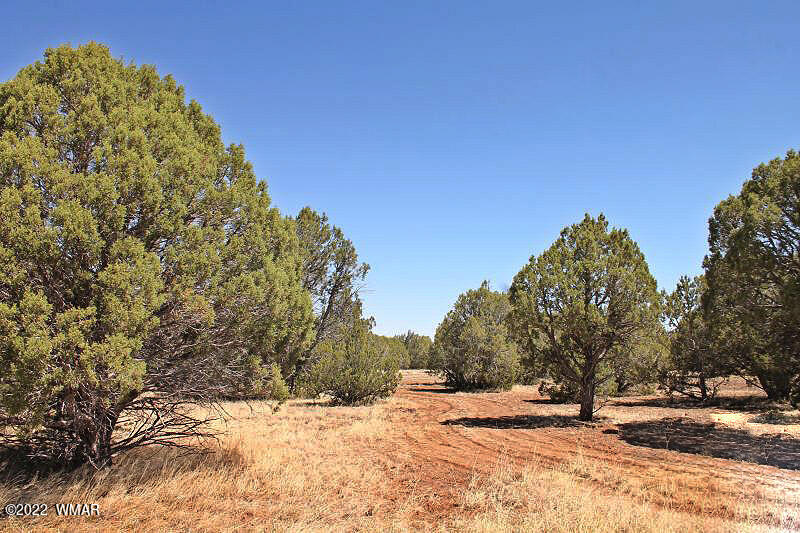 Tbd Lakeland Road Show Low, AZ 85901 - Photo 3 of 14