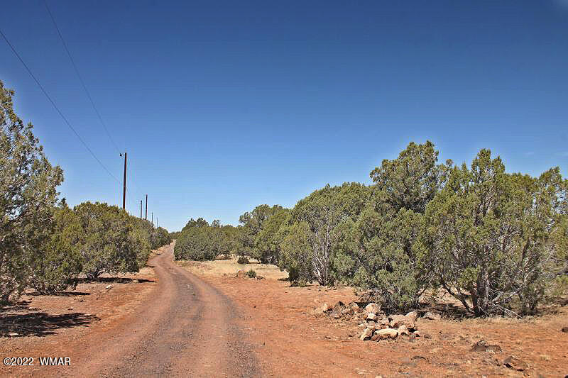 Tbd Lakeland Road Show Low, AZ 85901 - Photo 5 of 14