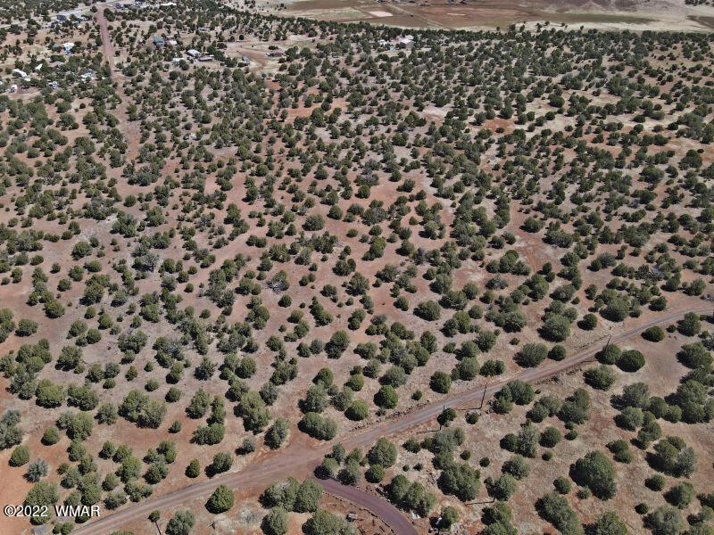 Tbd Lakeland Road Show Low, AZ 85901 - Photo 6 of 14