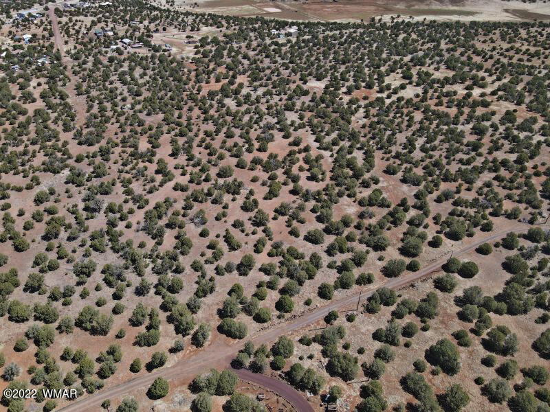 Tbd Lakeland Road Show Low, AZ 85901 - Photo 7 of 14
