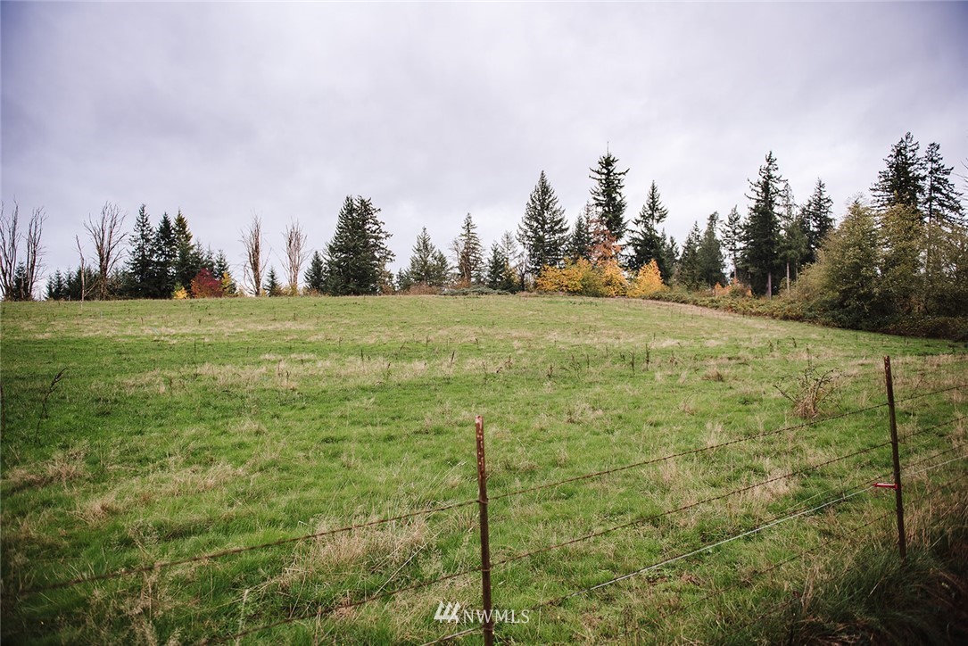 5 Oppelt Road Chehalis, WA 98532 - Photo 1 of 5 a view of a field with trees in the background