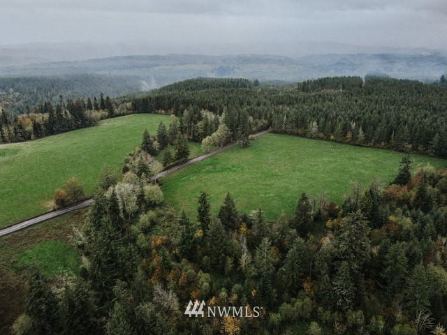 5 Oppelt Road Chehalis, WA 98532 - Photo 3 of 5 a view of a city with lush green forest
