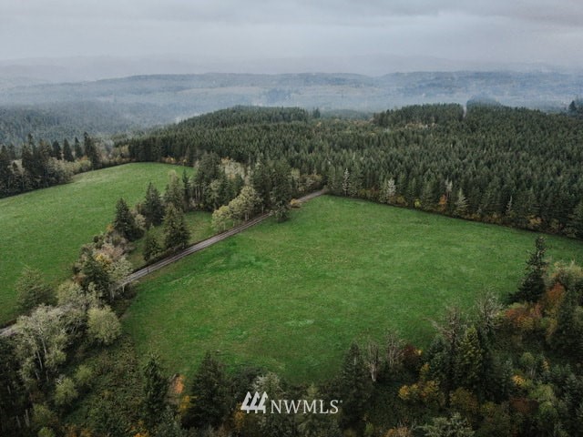 5 Oppelt Road Chehalis, WA 98532 - Photo 4 of 5 a view of a green field with mountains in the background