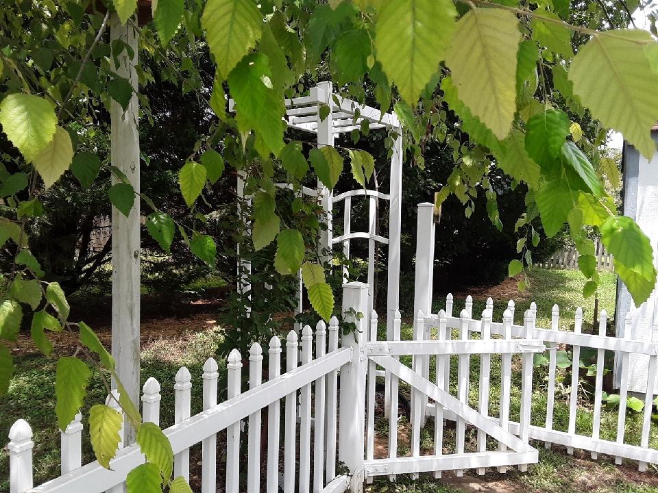 1020 Hummingbird Lane Spring Hill, TN 37174 - Photo 20 of 30 Your Very Own Park Like Setting. Beautiful Views!