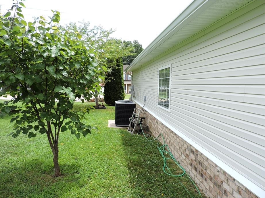 1020 Hummingbird Lane Spring Hill, TN 37174 - Photo 26 of 30 More Mature Greenery!