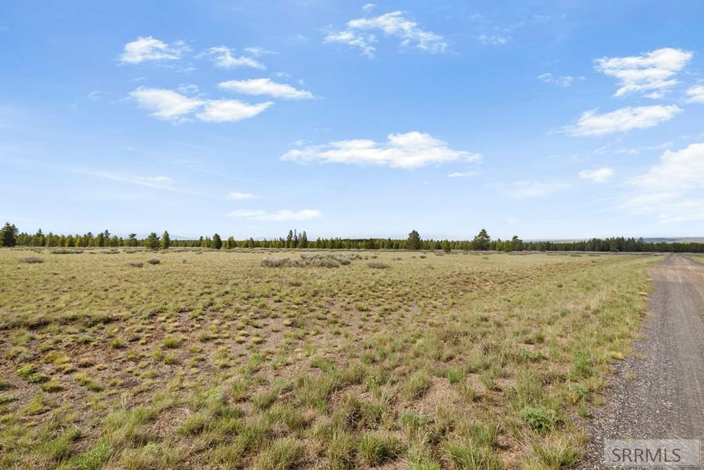 3565 Pine Grouse Road Island Park, ID 83429 - Photo 9 of 15