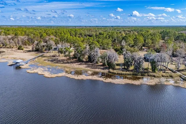 a view of a garden with a lot of flower plants and wooden floor