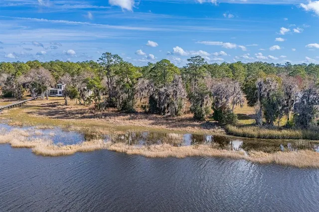 a view of a flower around in a lot of flowers