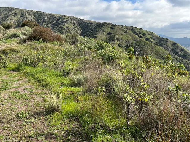 $3,000,000 | 0 8678-030-029, San Dimas, CA 91773