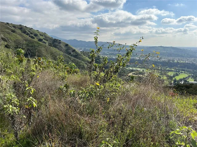 $3,000,000 | 0 8678-030-029, San Dimas, CA 91773