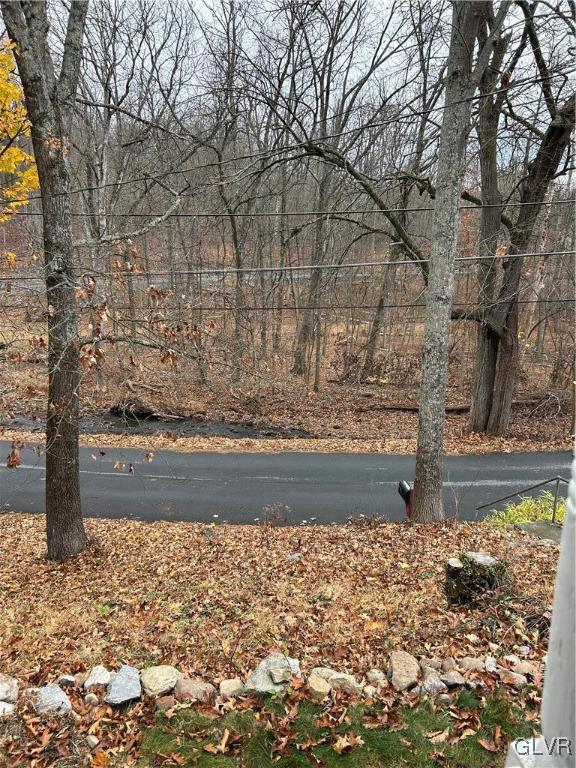 18 Repsher Road Bangor, PA 18013 - Photo 2 of 23 a view of yard with trees