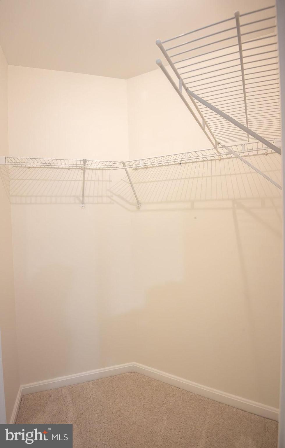 4183 Whitlow Place Chantilly, VA 20151 - Photo 45 of 68