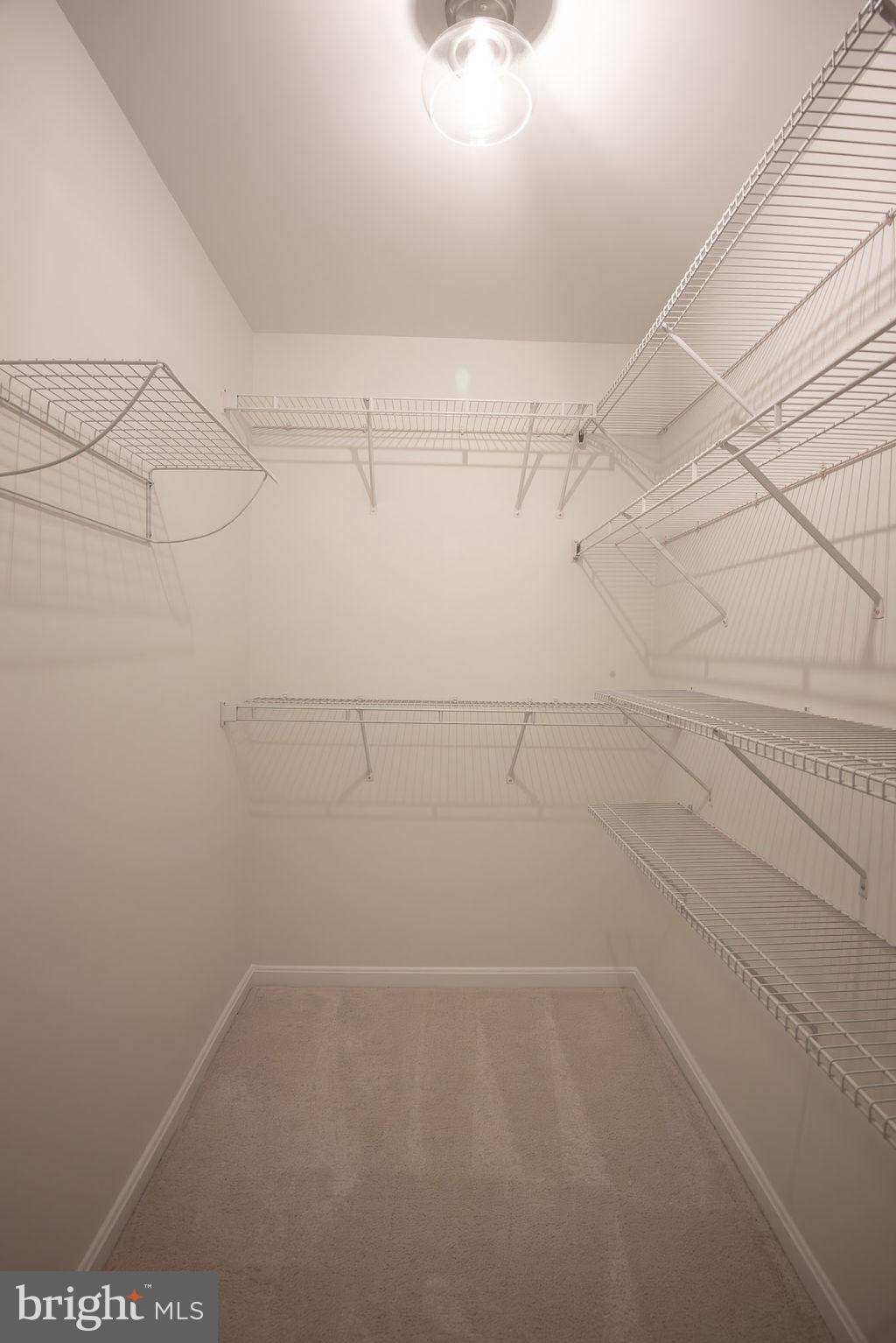 4183 Whitlow Place Chantilly, VA 20151 - Photo 46 of 68