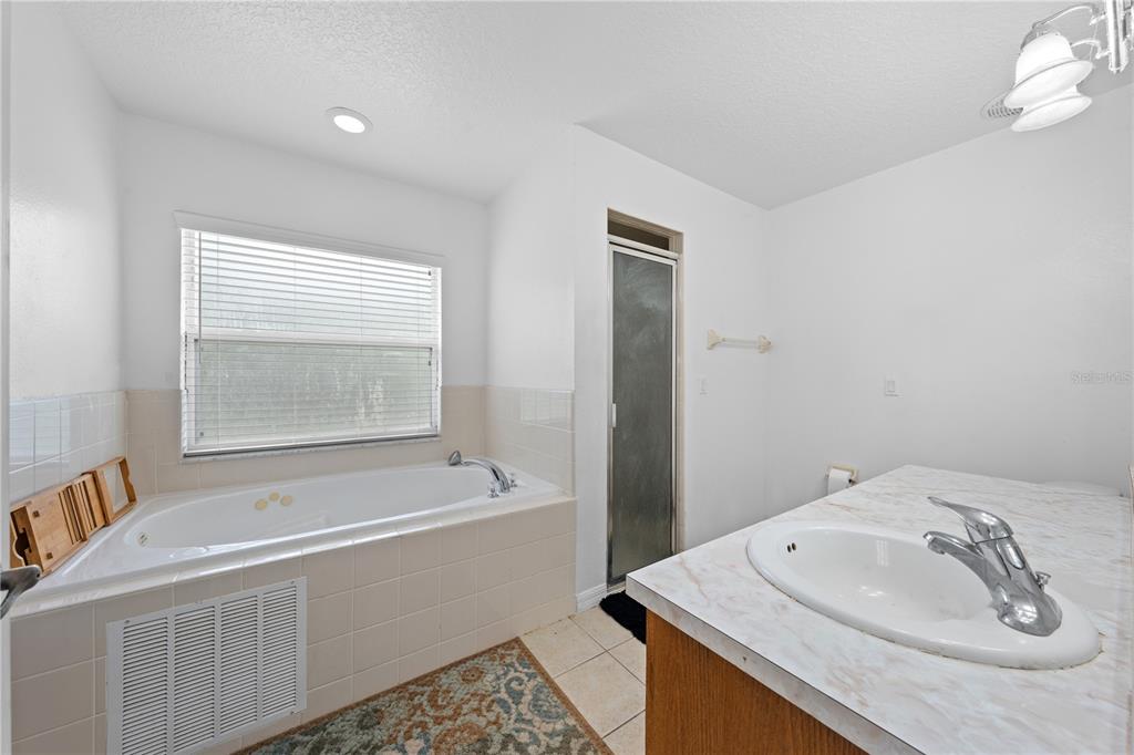 1965 Mustang Court St. Cloud, FL 34771 - Photo 19 of 33 a bathroom with a sink and a bathtub