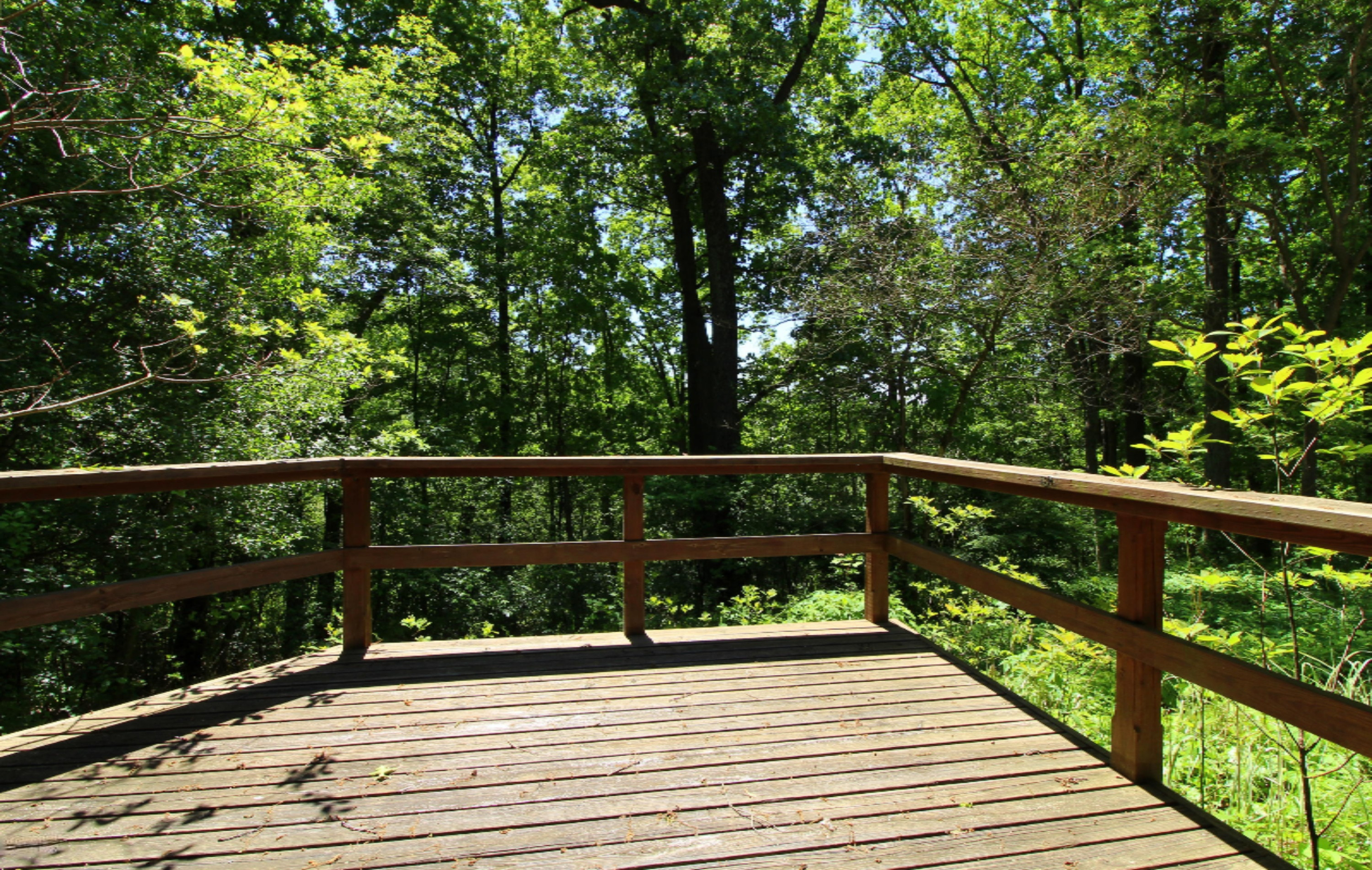 5060 Halbert Road Battle Creek, MI 49017 - Photo 13 of 21 Out4