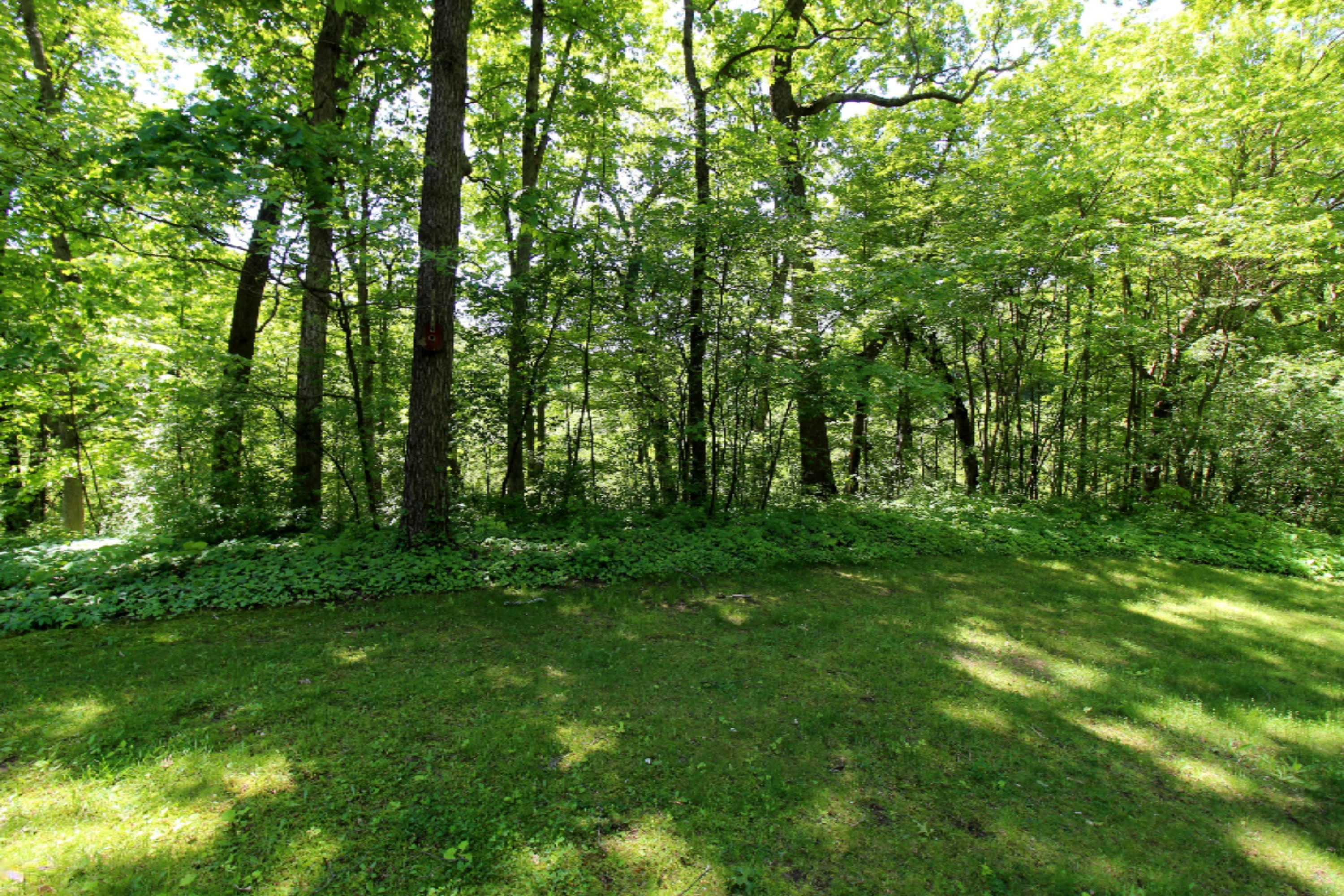 5060 Halbert Road Battle Creek, MI 49017 - Photo 15 of 21 Out2