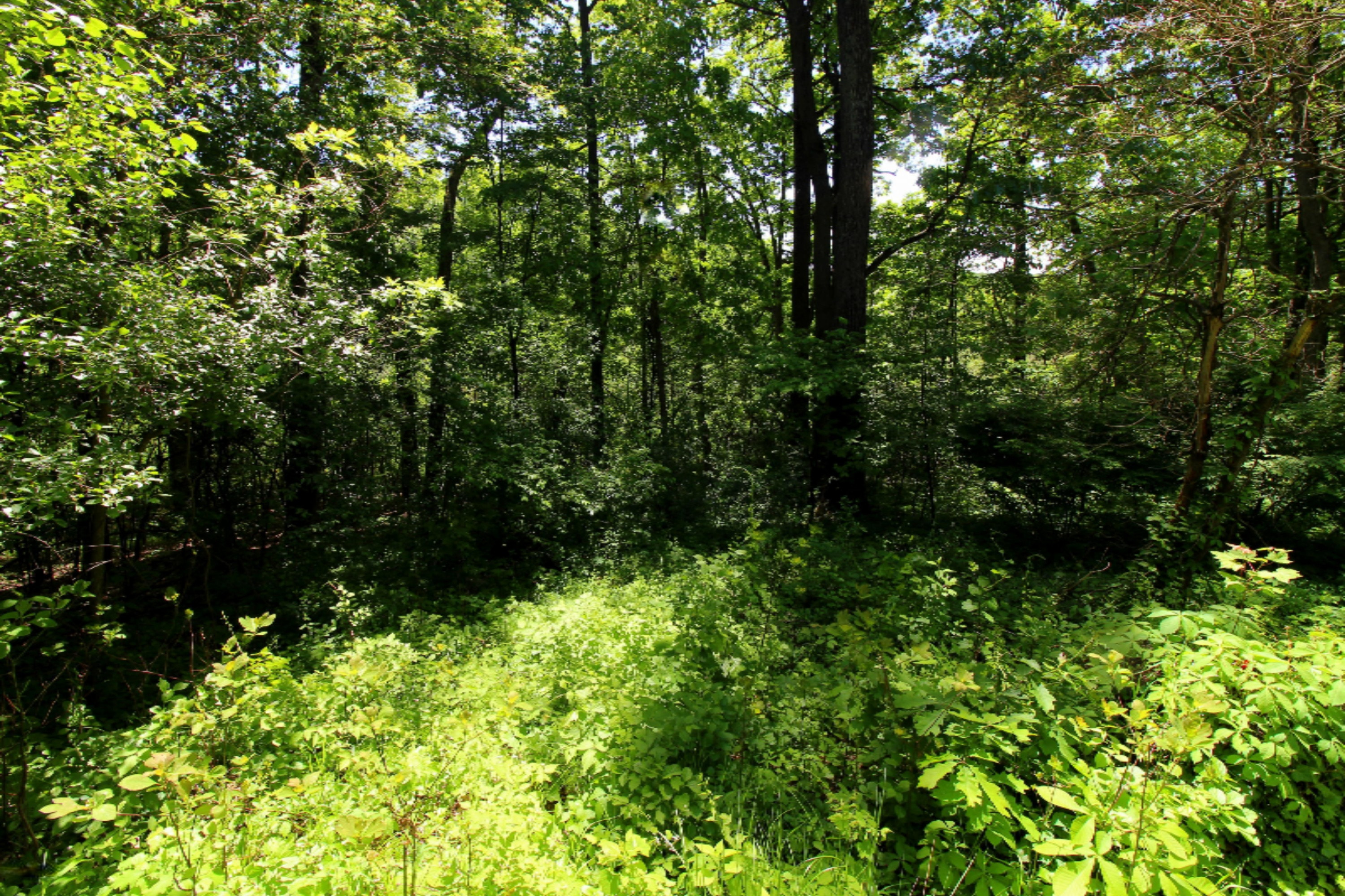 5060 Halbert Road Battle Creek, MI 49017 - Photo 17 of 21 Out5