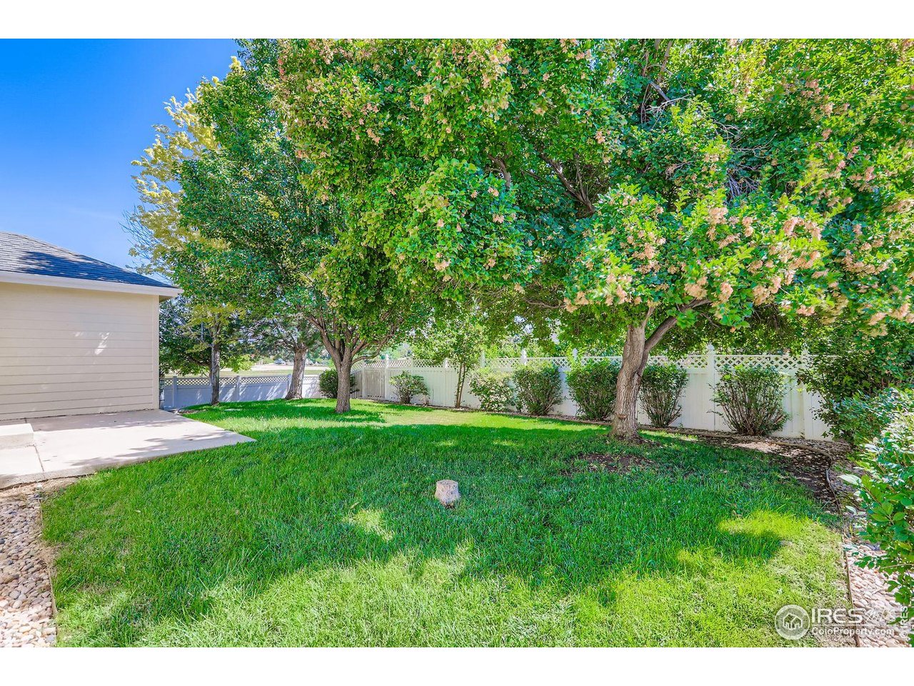 310 Bein Street Berthoud, CO 80513 - Photo 26 of 31 a view of a yard with a house