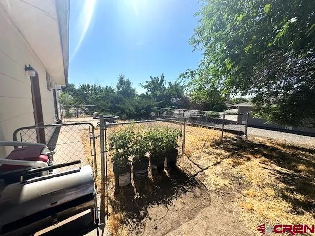 a view of a tree in front of a house