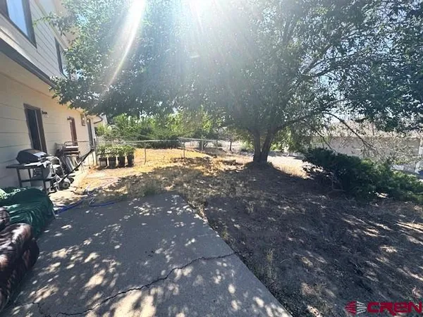 a view of a tree in front of a house