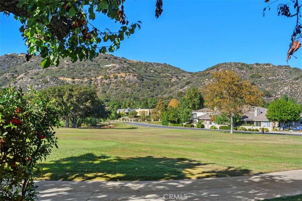 38285 Oaktree Loop Murrieta, CA 92562 - Photo 37 of 39 a view of a big yard with a large tree