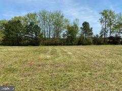 0 Green Hill Church Road Quantico, MD 21856 - Photo 4 of 17 a view of residential space with a garden